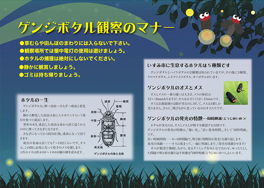 源氏ぼたる観賞の夕べ