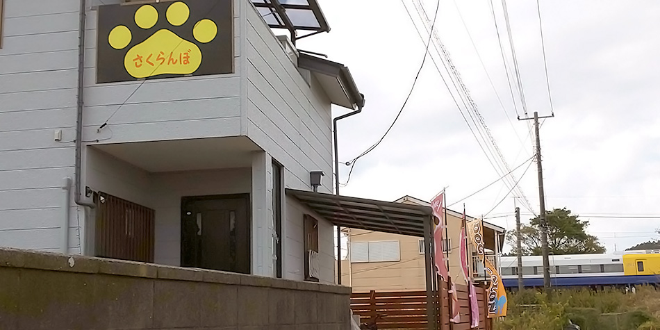 DOG HOUSE さくらんぼ